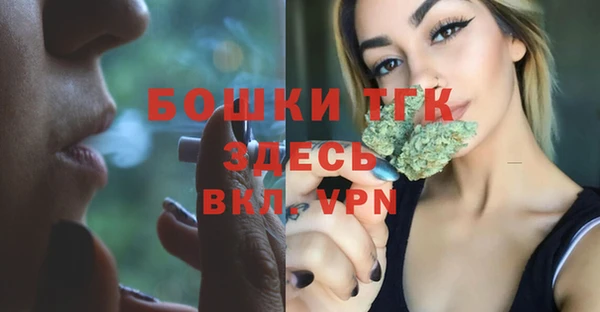ECSTASY Дмитровск
