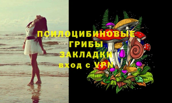 дурь Дмитриев