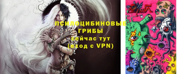 ешки Дмитров